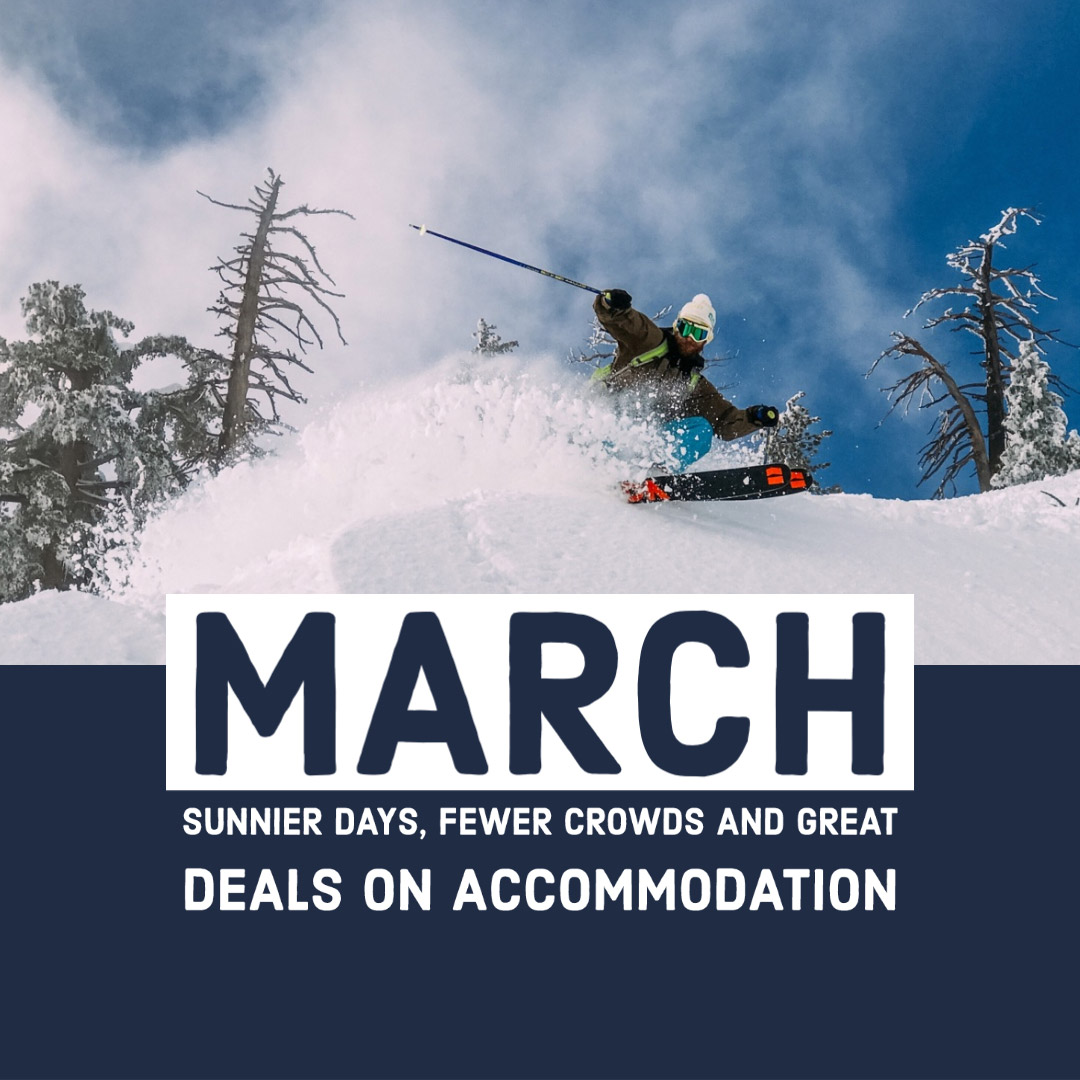 Niseko Deals In March