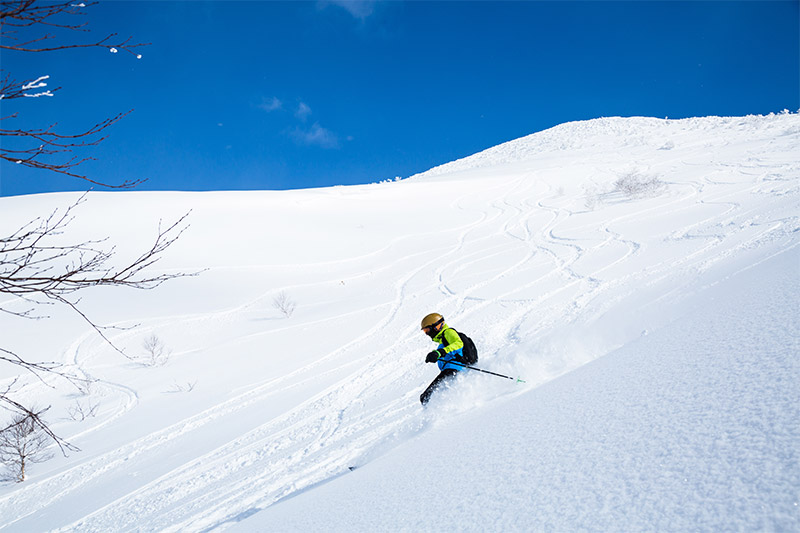 Skier On Niseko Mountain Backcountry