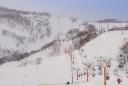 Outstanding Powder Snow Niseko